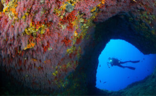UN-Dekade: Taucher über dem Eingang einer Unterwasserhöhle