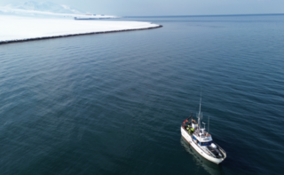 Mit der MS Farm beprobten die Bremer Forschenden mehrfach und zu verschiedenen Jahreszeiten den Meeresboden rund um Spitzbergen.