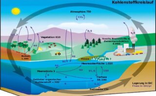 Der Kohlenstoffkreislauf ist ein hochsensibles System. Geringe Veränderungen können das Klima nachhaltig beeinflussen