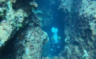Abtauchen für die Wissenschaft: Die Tauchgemeinschaft ist im Fokus eines neuen Forschungsprojektes, das mithilfe von Taucher:innen kontinuierlich Temperaturdaten im Mittelmeer erfassen und analysieren möchte.