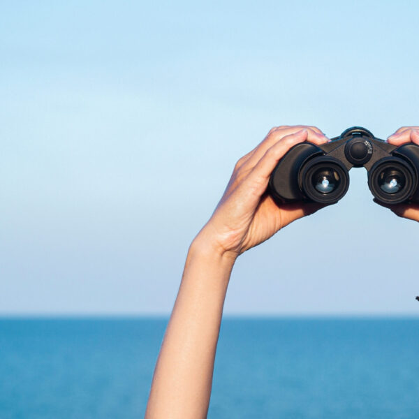 Two hands hold binoculars in the frame, the sea and sky can be seen in the background on a sunny day