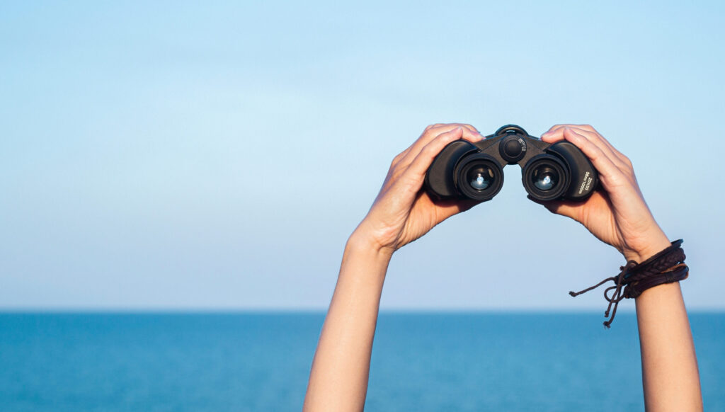 Two hands hold binoculars in the frame, the sea and sky can be seen in the background on a sunny day