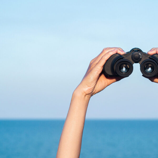 Two hands hold binoculars in the frame, the sea and sky can be seen in the background on a sunny day
