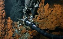 Eine Hydrothermale Quelle am Mittelatlantischen Rücken. Über die Ausbreitungswolke – der sogenannten Plume – werden heiße, mineralreiche Flüssigkeiten im Ozean verteilt. Das Foto entstand während der Forschungsreise M190 mit dem Tauchroboter MARUM-QUEST4000. Der Arm des Tauchroboters hält eine Temperaturlanze in die Austrittfahne, um dort die Temperatur zu messen.