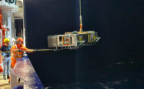 Ein Highlight ist der Einsatz des sogenannten MOMO-Videoschlittens. Das Kamerasystem wurde im vergangenen Jahr am GEOMAR entwickelt und ermöglicht eine millimetergenaue Kartierung des Meeresbodens.

Foto: Andrea Geipel, GEOMAR