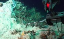 Probenahme von Flüssigkeiten mit einer Temperatur von 180 Grad Celsius an der White Sealhound-Struktur. Foto: MARUM – Zentrum für Marine Umweltwissenschaften, Universität Bremen