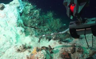 Probenahme von Flüssigkeiten mit einer Temperatur von 180 Grad Celsius an der White Sealhound-Struktur. Foto: MARUM – Zentrum für Marine Umweltwissenschaften, Universität Bremen