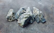 Austernschalen sind weltweit ein Abfallprodukt der Lebensmittelindustrie. Sie bestehen zum Großteil aus Claciumcarbonat, also Kalk.