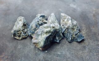 Austernschalen sind weltweit ein Abfallprodukt der Lebensmittelindustrie. Sie bestehen zum Großteil aus Claciumcarbonat, also Kalk.