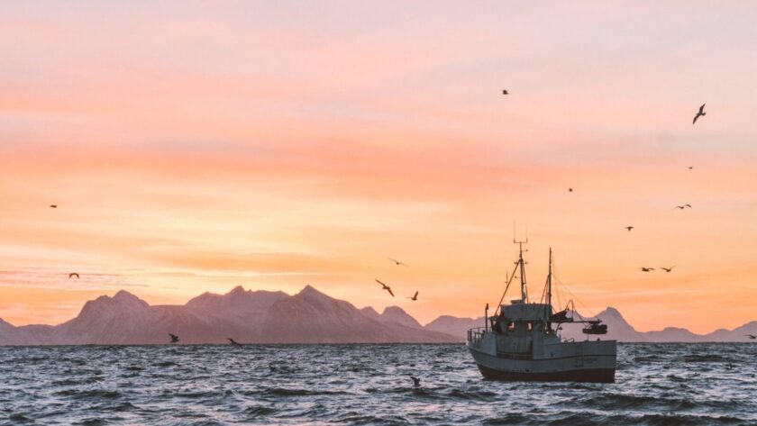 Source: Knut Troim, Unsplash